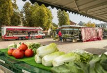 Marktstände des Nordhorner Wochenmarkts an der Alten Kirche