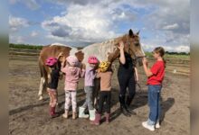Kind mit Helm beim Ponyführerschein im Rahmen des Nordhorner Ferienpassprogramms