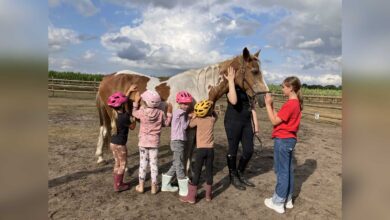 Kind mit Helm beim Ponyführerschein im Rahmen des Nordhorner Ferienpassprogramms