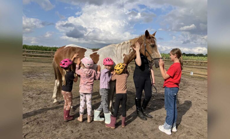 Kind mit Helm beim Ponyführerschein im Rahmen des Nordhorner Ferienpassprogramms