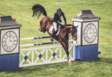 Reiter beim Springreiten im Turnier, Symbolbild zu den Salzbergener Reitertagen