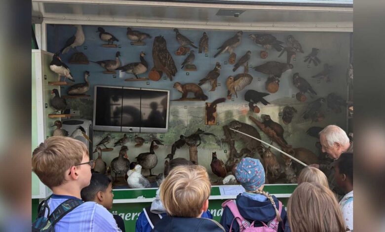 Grundschulkinder bei den Waldjugendspielen im Papenburger Demonstrationswald