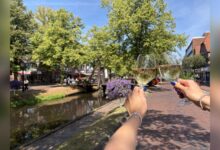 Zwei Hände stoßen mit Weingläsern am Hauptkanal in Papenburg an