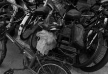 Mehrere Fahrräder stehen dicht nebeneinander in einem Fahrradständer
