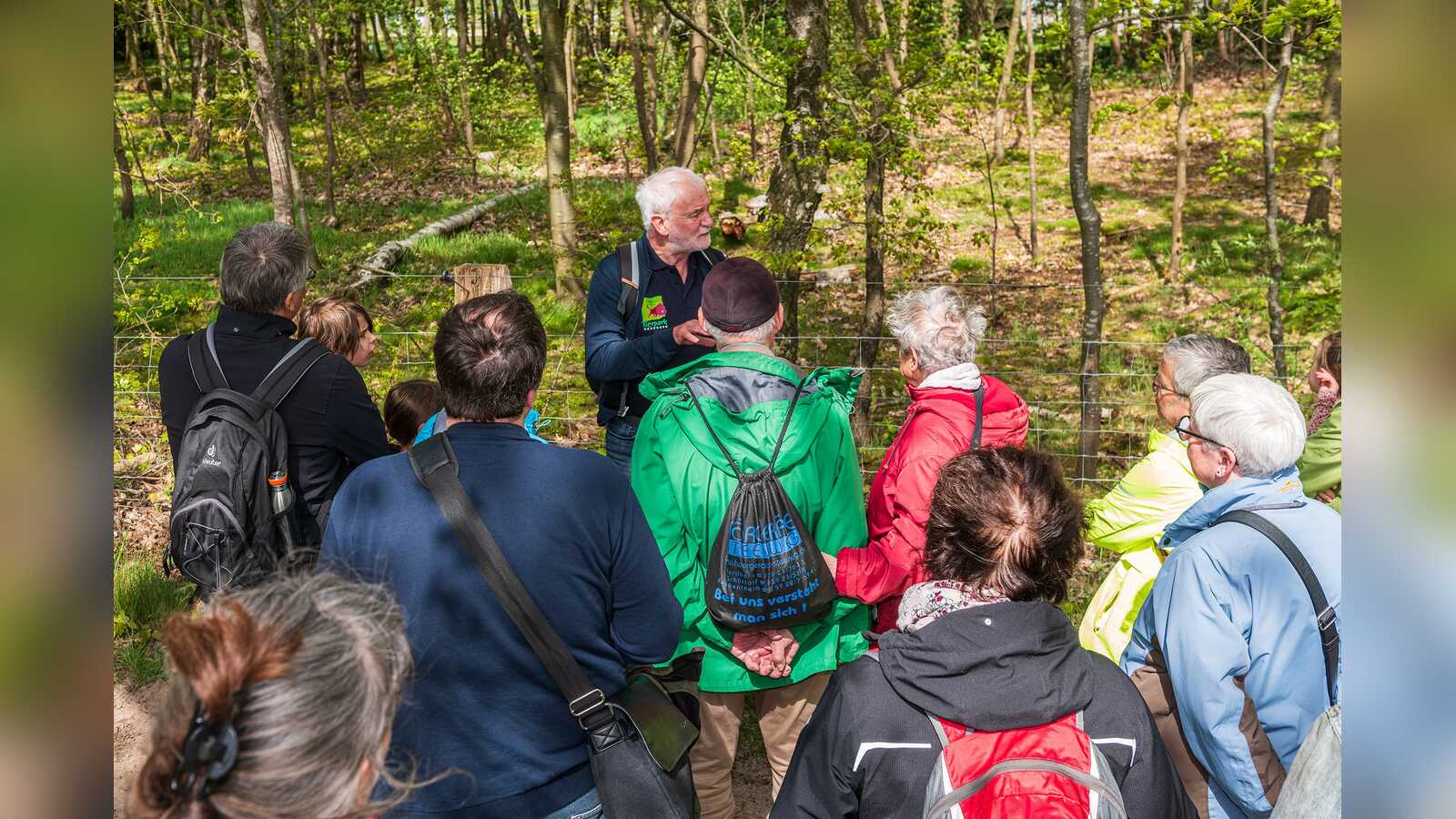 Teilnehmende einer Naturführung zwischen Wacholderbüschen im Wacholderhain Bardel