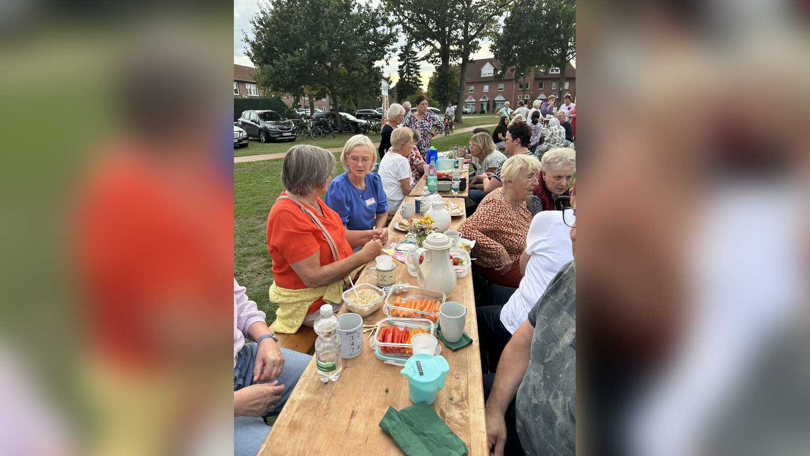 Besucher beim Gemeinschaftspicknick der Freiwilligenagentur Geeste im Rathauspark
