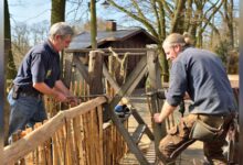 Zwei Handwerker bauen ein Holztor in einen Gehegezaun aus Kastanienholz