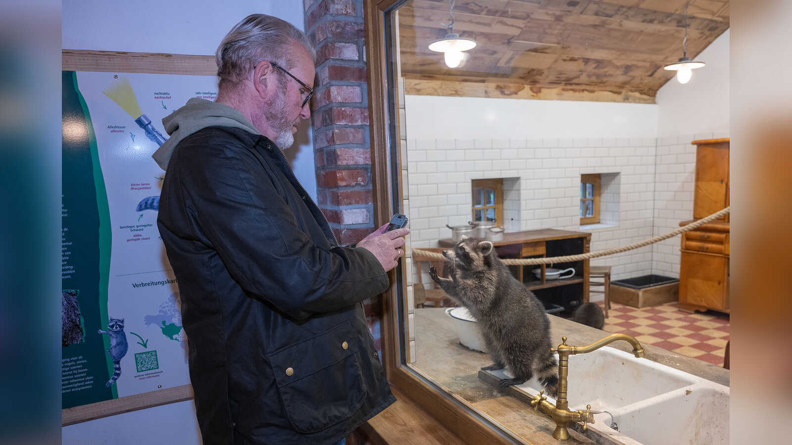 Hartmut Heckmann in der Tierscheune Heckmann im Tierpark Nordhorn mit einem Waschbären