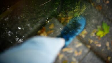 Ein blauer Besen kehrt nasses Herbstlaub auf einem gepflasterten Weg zusammen