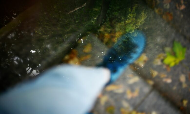Ein blauer Besen kehrt nasses Herbstlaub auf einem gepflasterten Weg zusammen