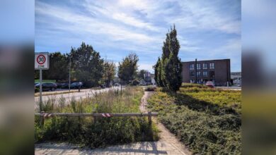 Sauvageodstraße in Nordhorn, an der ein neuer Gehweg zum Kaufland-Parkplatz gebaut wird