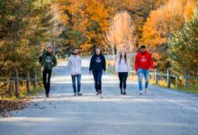 Fünf Menschen gehen einen Schotterweg entlang, gesäumt von Bäumen mit gelbem Herbstlaub