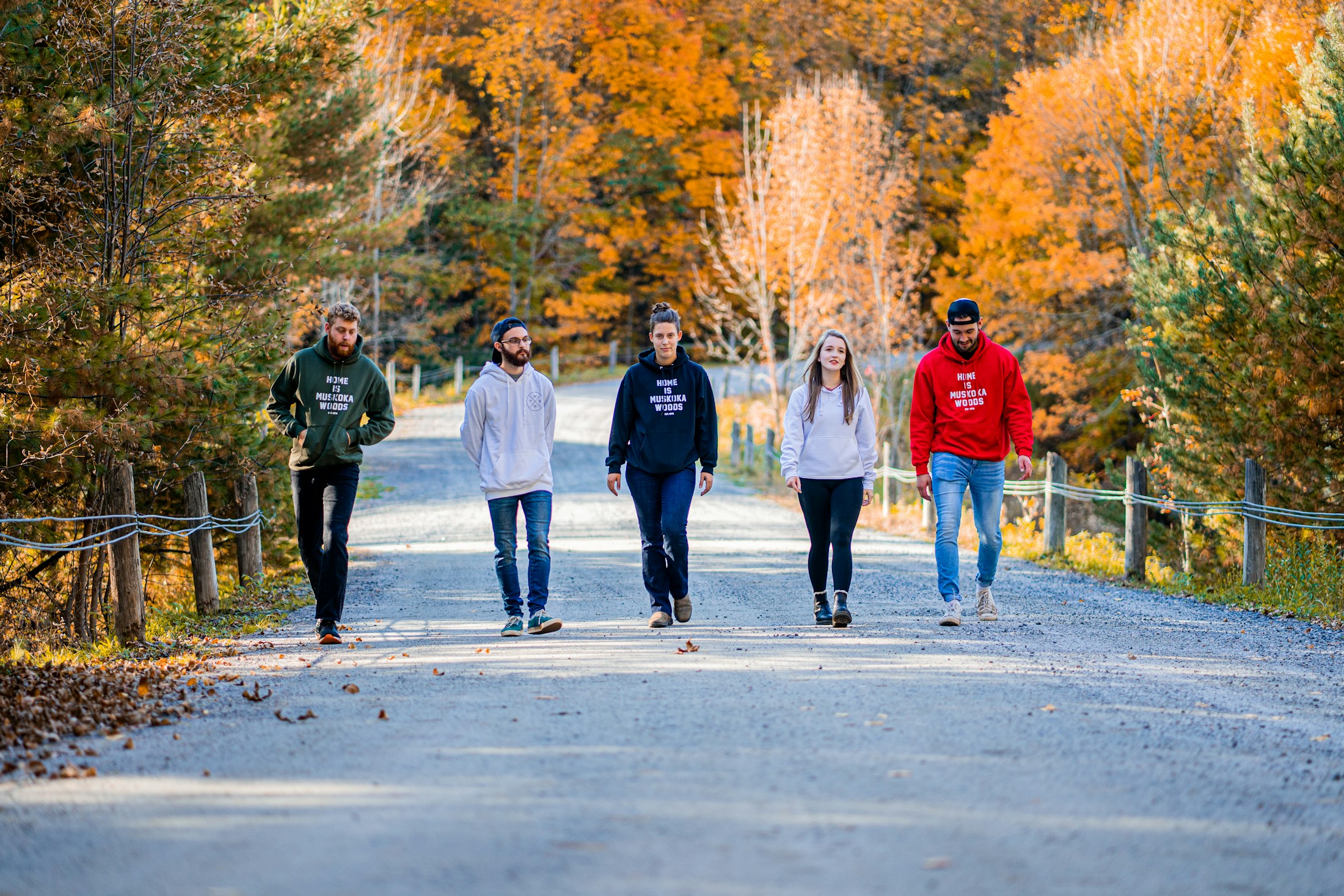Fünf Menschen gehen einen Schotterweg entlang, gesäumt von Bäumen mit gelbem Herbstlaub