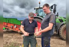 Schwadleger-Fahrer Bernd Völker und Landwirt Herman Josef Landwehr bei der Zwiebelernte