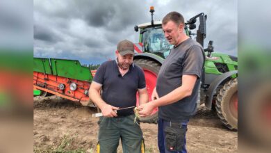 Schwadleger-Fahrer Bernd Völker und Landwirt Herman Josef Landwehr bei der Zwiebelernte